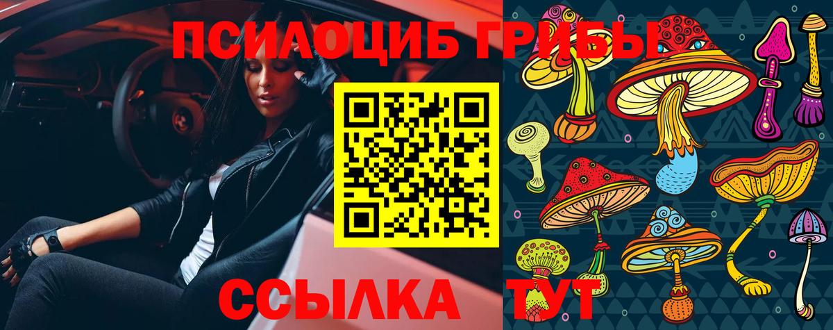 Галлюциногенные грибы Psilocybe Алатырь